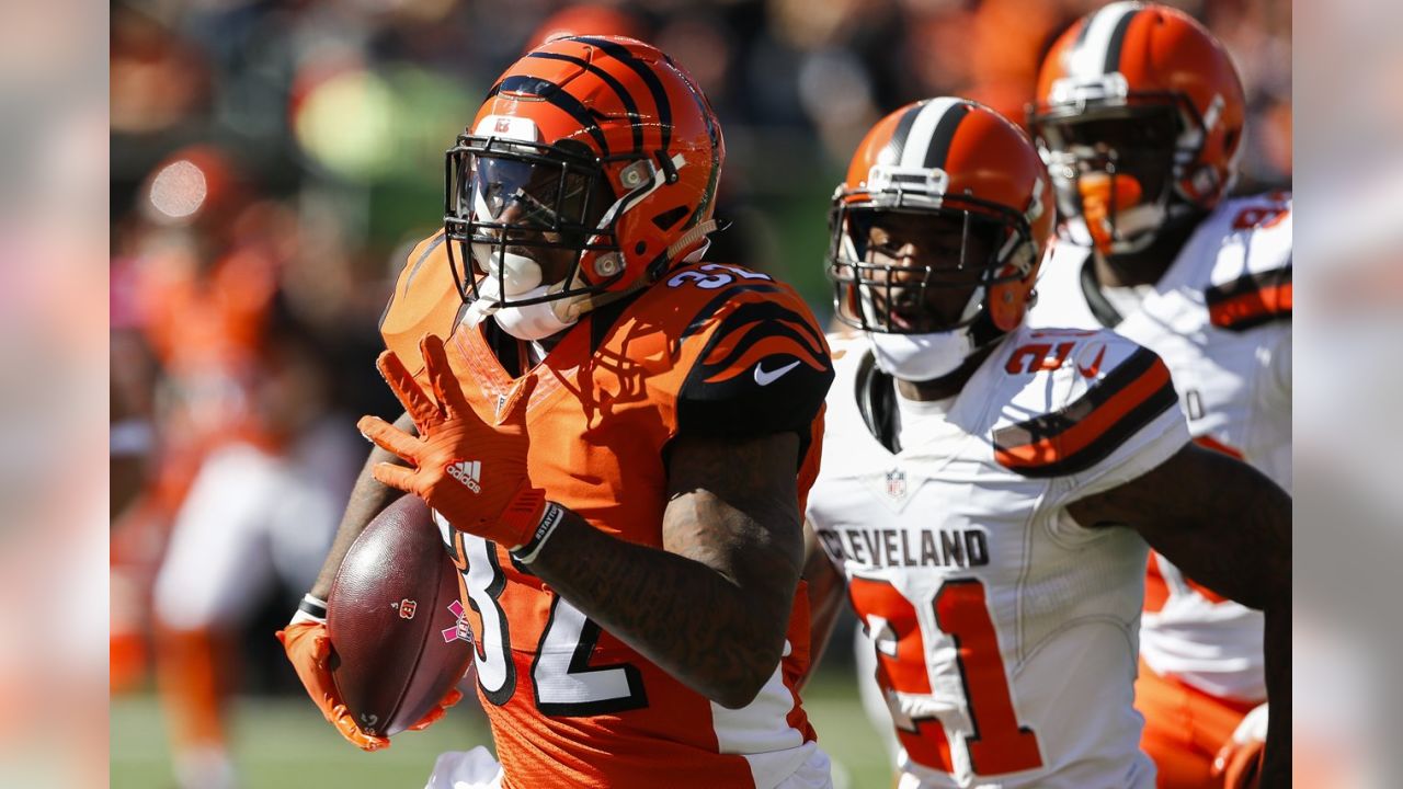 Cincinnati Bengals tackle Eric Winston (73) celebrates after wide receiver  A.J. Green (18) made a touchdown catch in the fourth quarter of an NFL  football game against the Pittsburgh Steelers, Sunday, Nov.