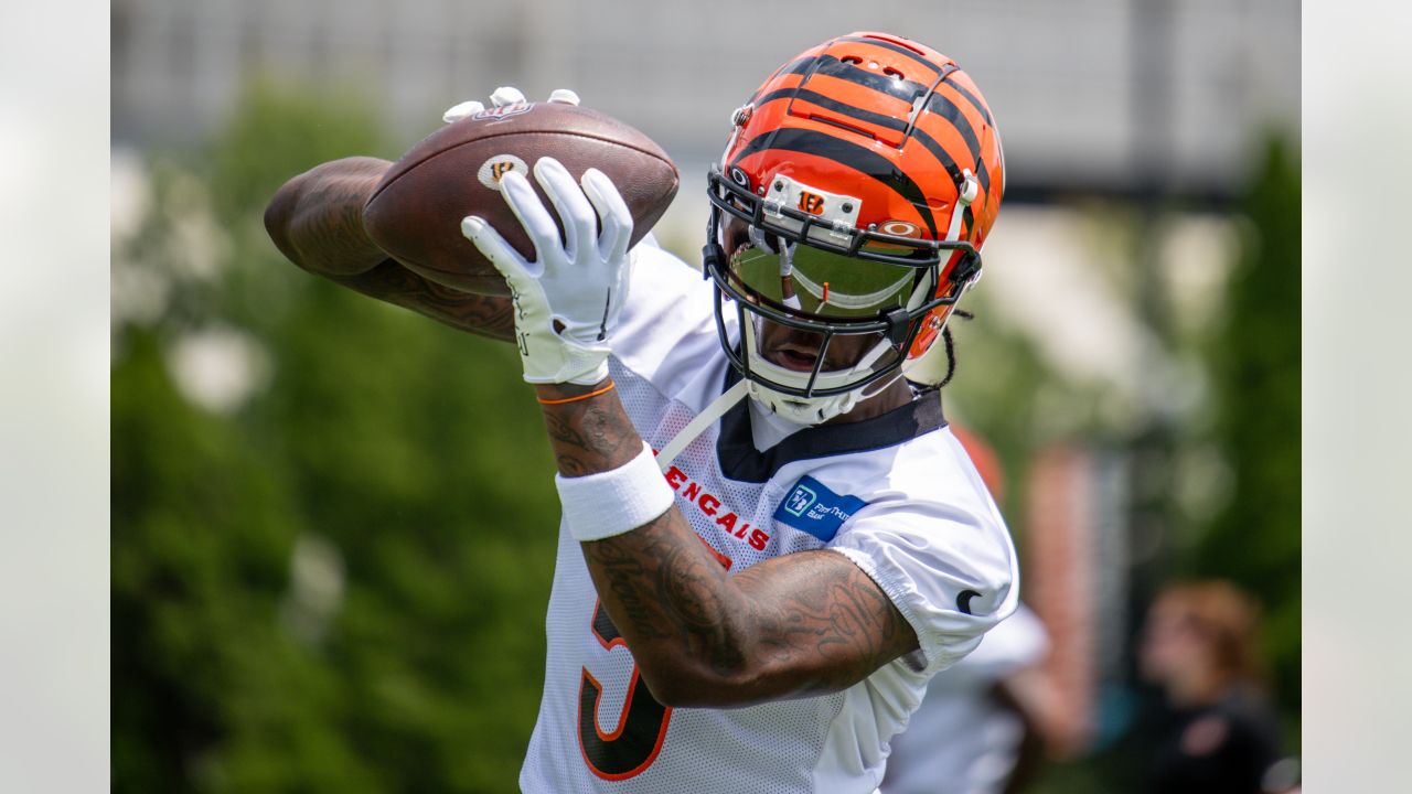 Training Camp Report: Bengals Enjoying Zac's Style Of Grind