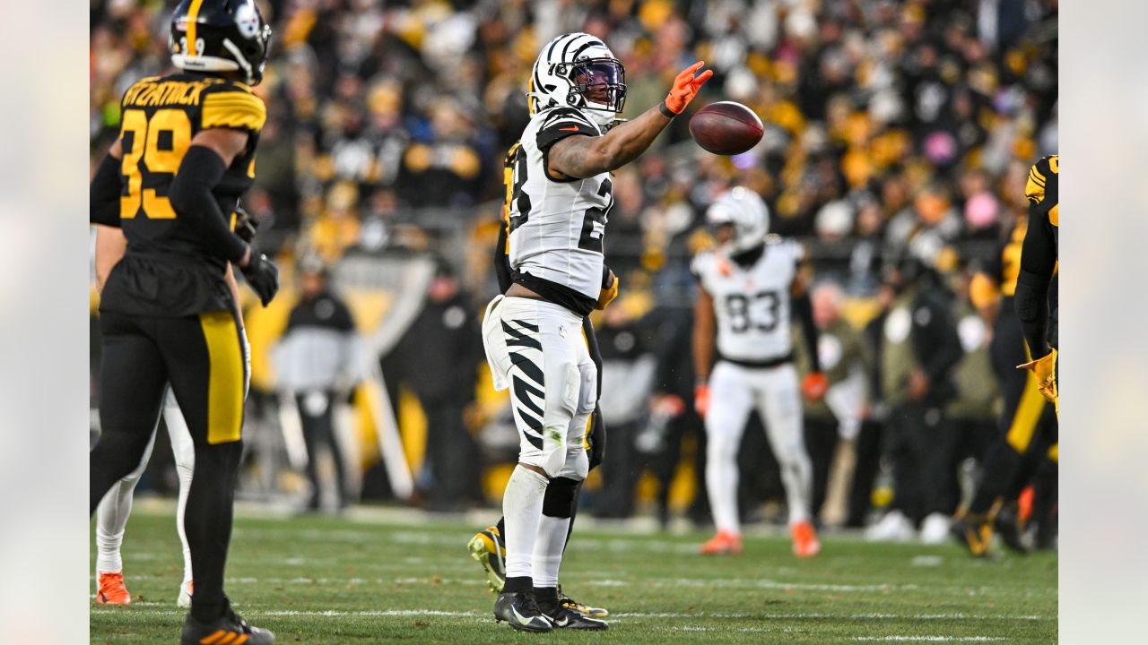 Pittsburgh Steelers vs. Cincinnati Bengals - 2022 NFL Regular Season Week  11 - Acrisure Stadium in Pittsburgh, PA