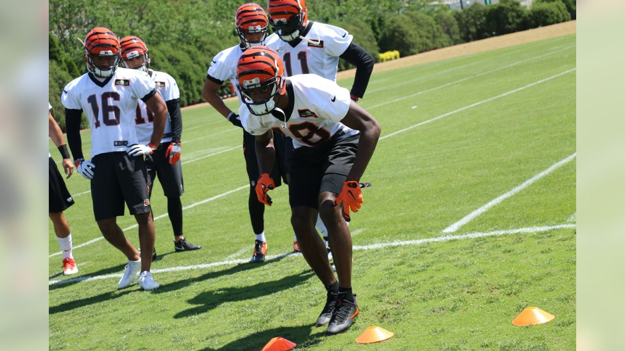 Two Bengals WRs might be heading in opposite directions