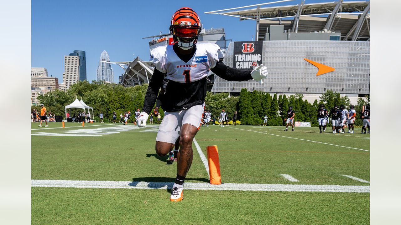 PHOTOS: Cincinnati Bengals NFL training camp, Aug. 3