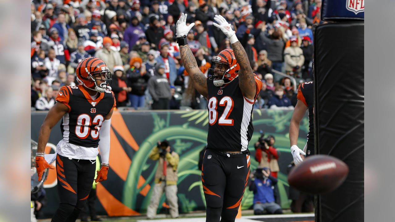 The Bengals fell to the New England Patriots 34-13 in Week 15.