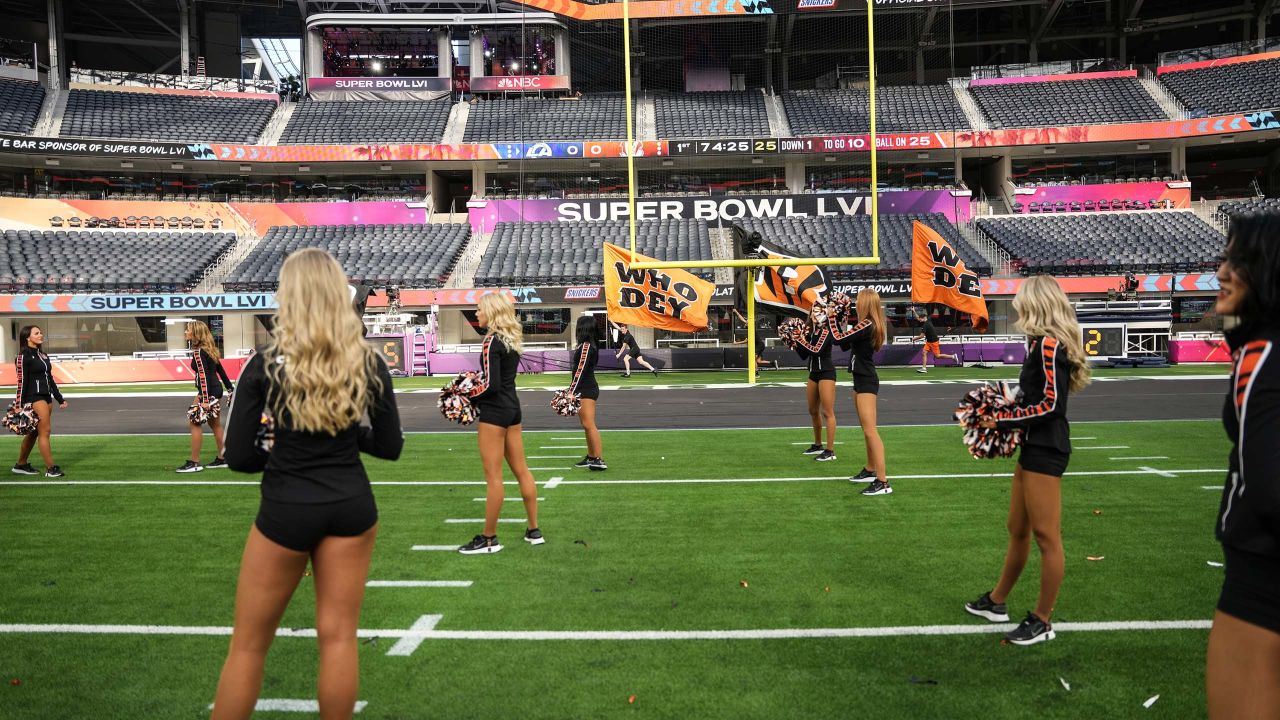 Ben-Gal Cheerleader's Super Bowl trip was 'One of a Kind'