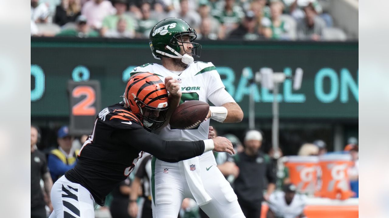 CINCINNATI, OH - SEPTEMBER 11: Cincinnati Bengals defensive tackle BJ Hill ( 92) during the game against the Pittsburgh Steelers and the Cincinnati  Bengals on September 11, 2022, at Paycor Stadium in Cincinnati