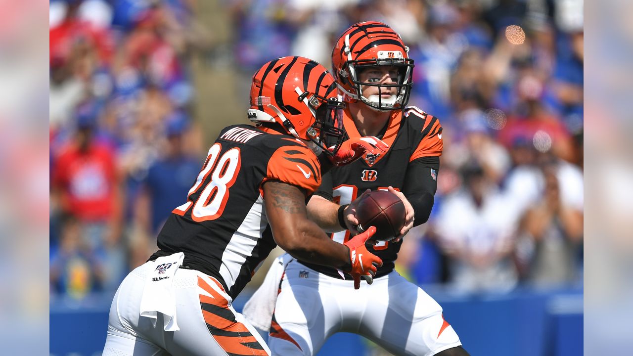 Bengals Vow, 'We've Been There Before,' As They Point To Monday