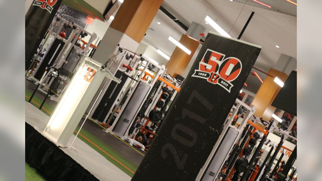 Bengals announce celebration plans for 50th season