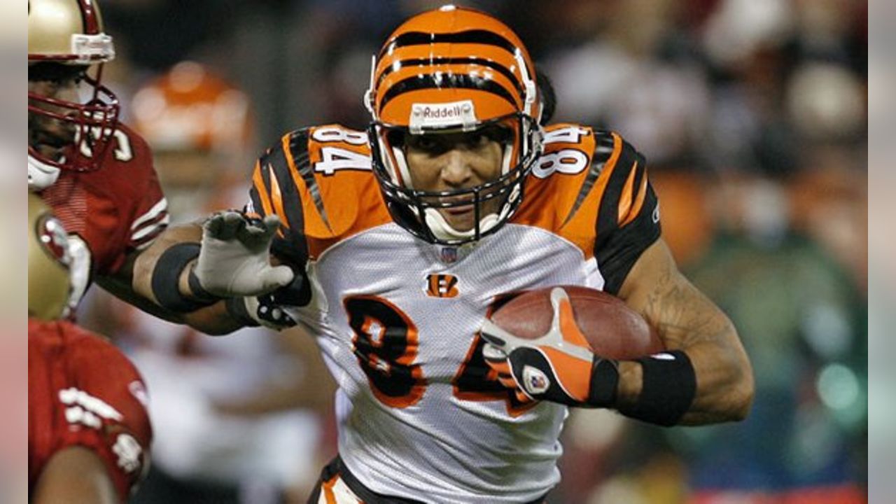 464 Cincinnati Bengals Tj Houshmandzadeh Photos & High Res Pictures - Getty  Images