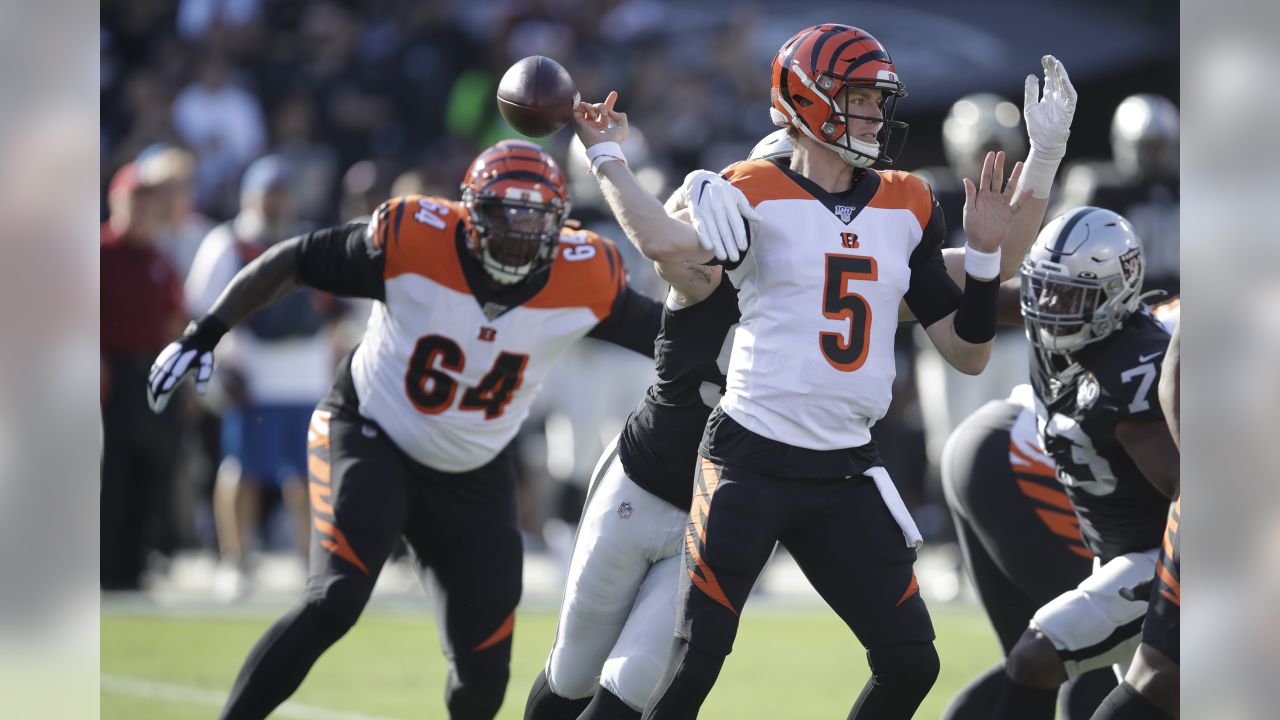 Oakland, California, USA. 17th Nov, 2019. Cincinnati Bengals wide receiver Auden  Tate (19) was taken off the field after getting hurt in a play with Oakland  Raiders safety Curtis Riley (35), during