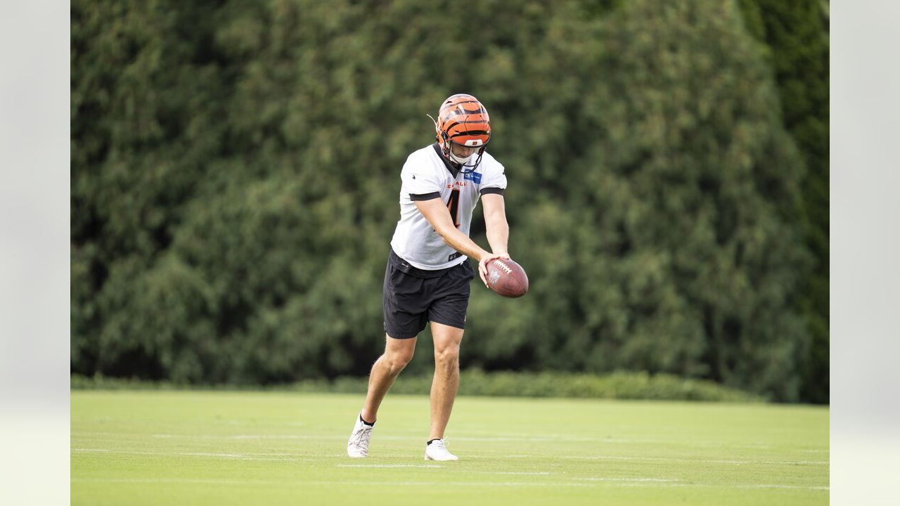 Mike Brown: Cincinnati Bengals Are Not Leaving - Football Stadium Digest