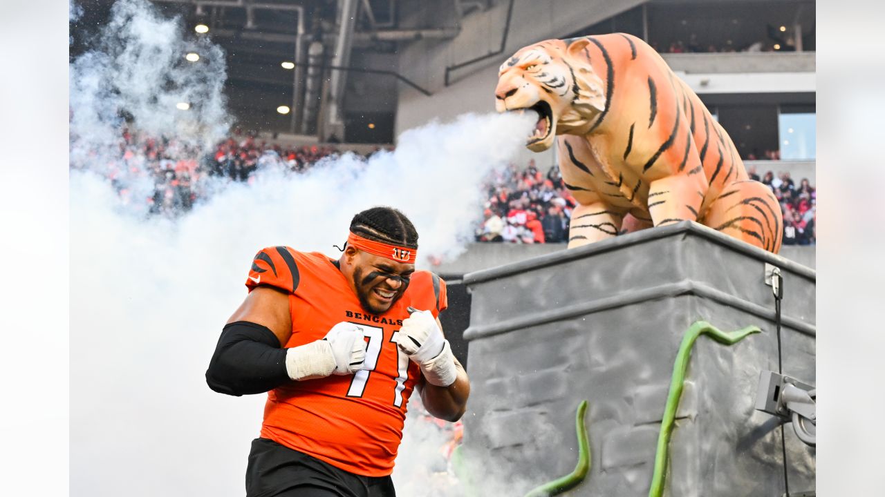 Photos: Bengals Warm Up for Week 13