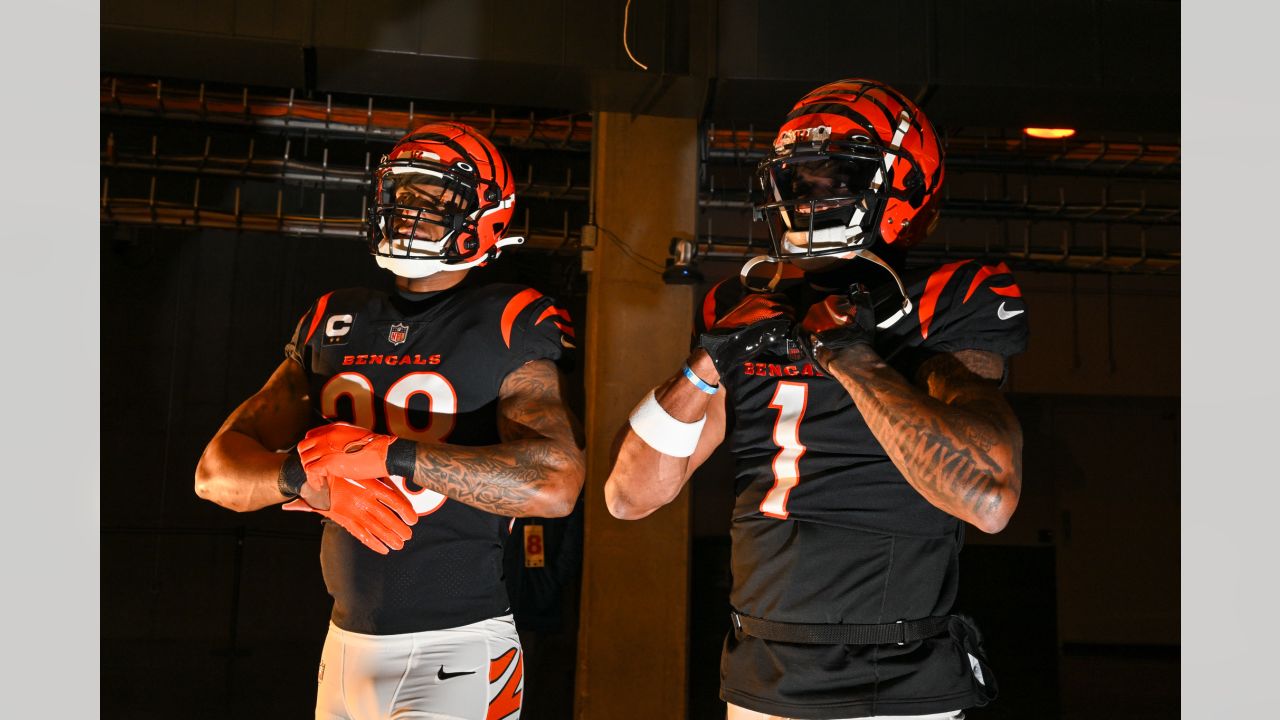 Cincinnati Bengals beat Cleveland Browns in NFL Week 14