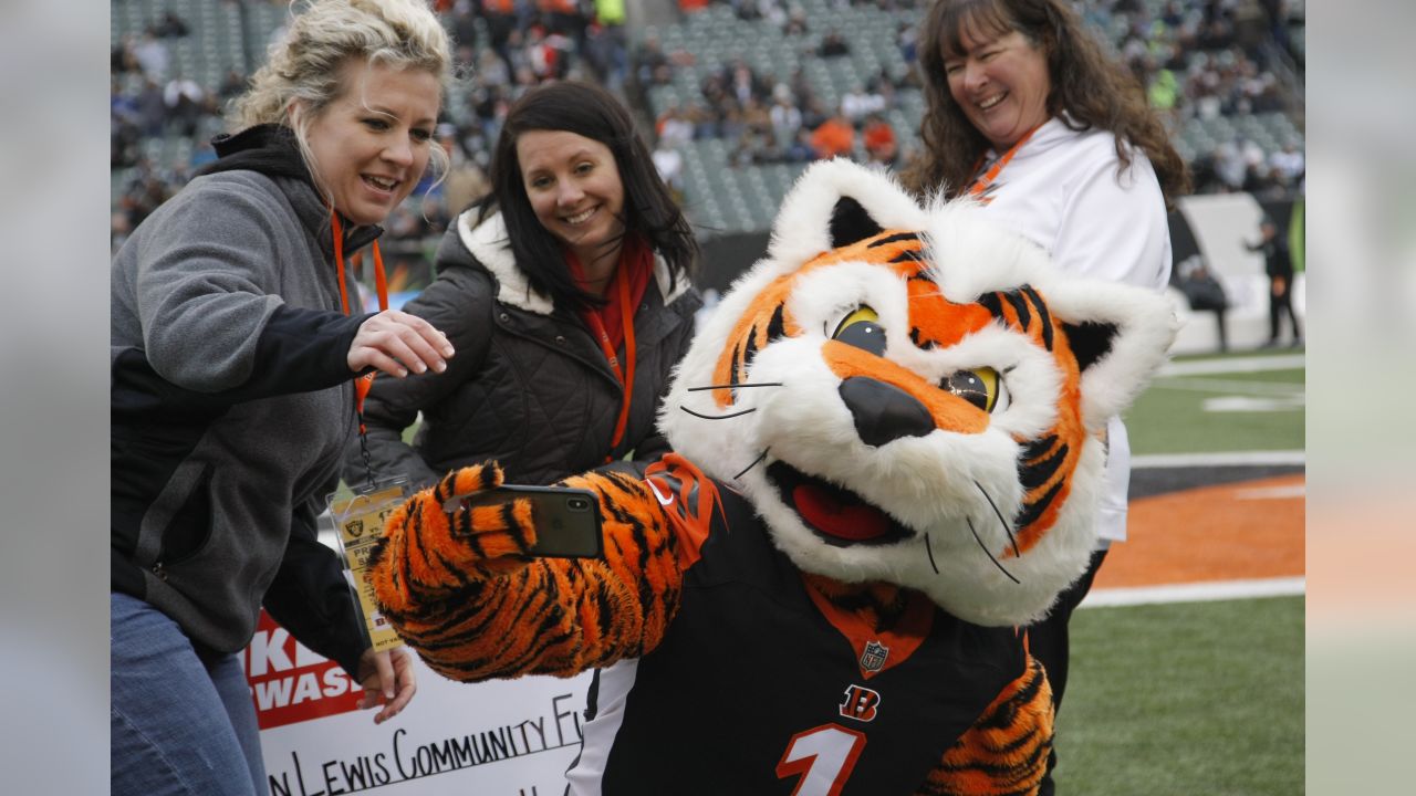 Cincinnati Bengals mascot Who-Dey takes the field before an NFL