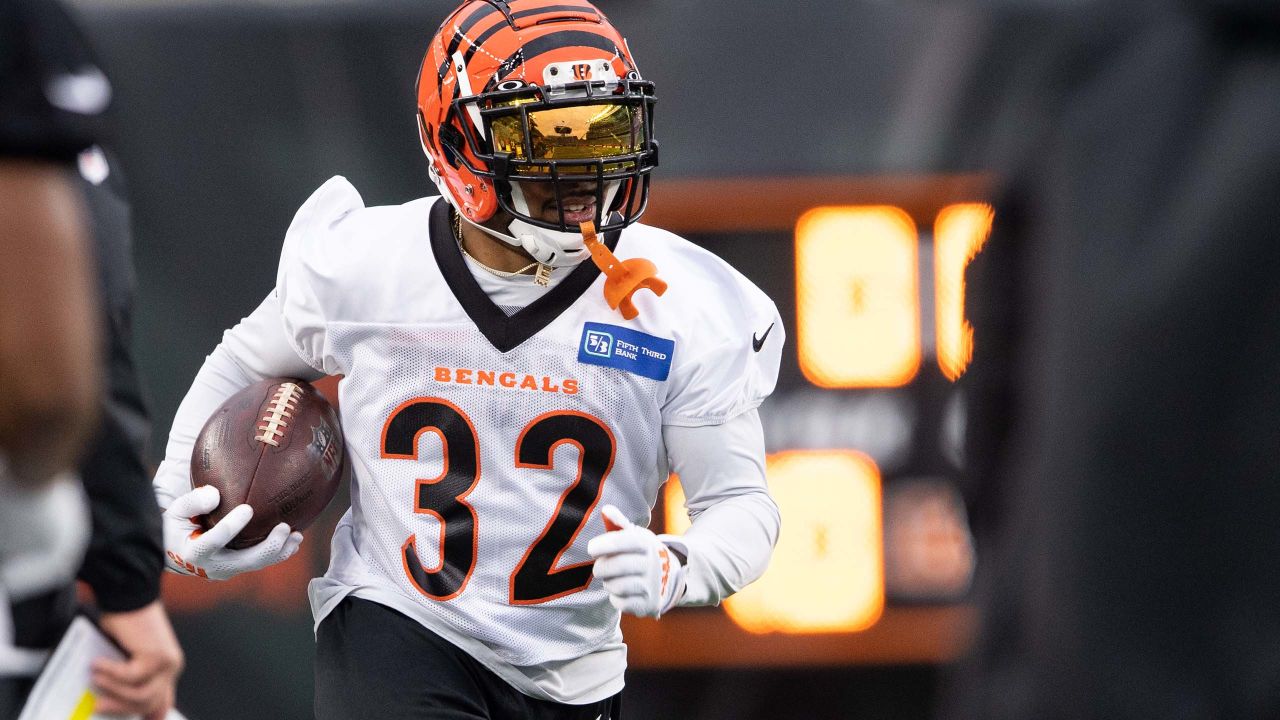 Bengals 2020 offseason player profile/projection: Fred Johnson, O