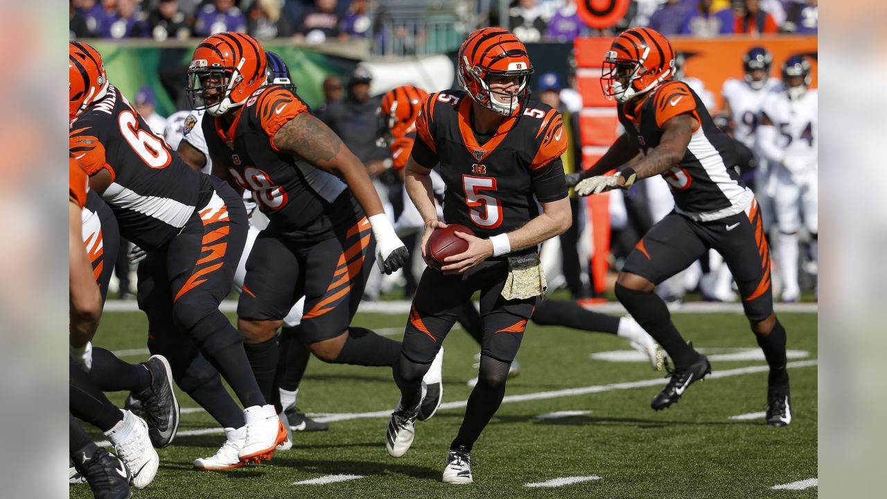 Texans release former Bengals QB Ryan Finley, per reports - Cincy Jungle