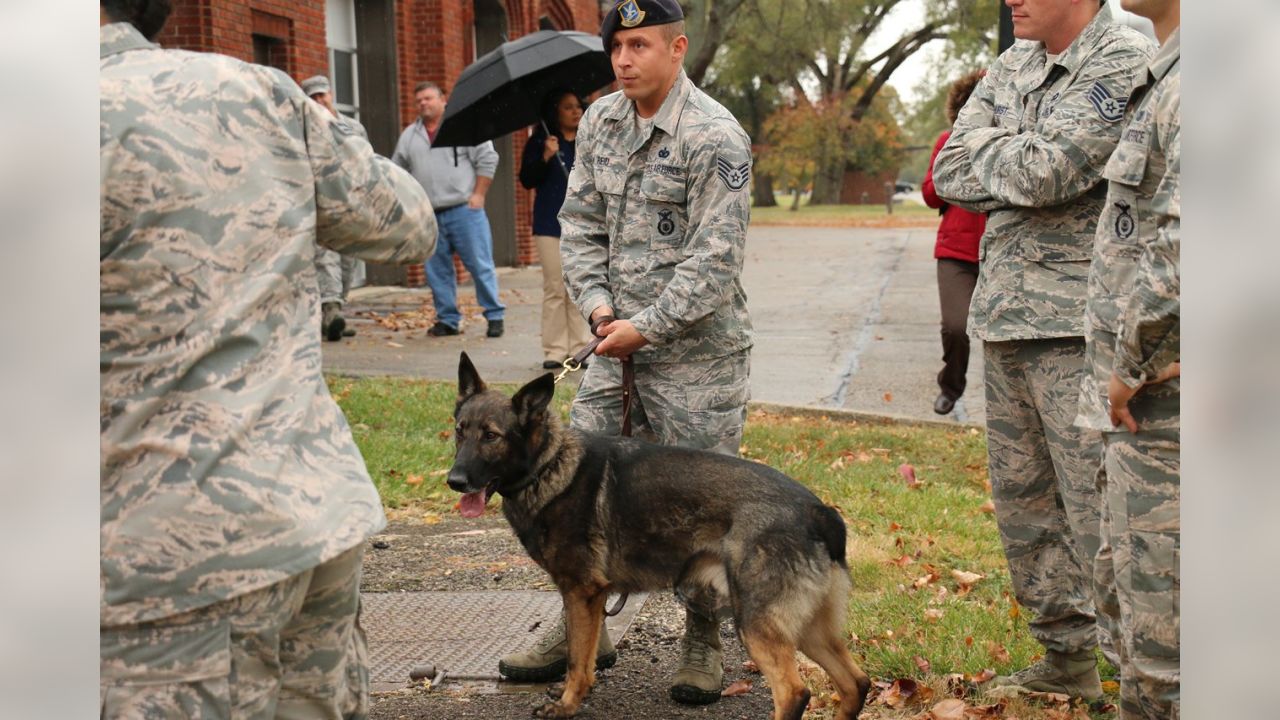 Airmen Visit Cincinnati Bengals > Wright-Patterson AFB > Article Display