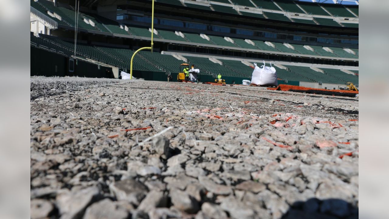 Cincinnati Bengals - Paul Brown Stadium - Shaw Sports Turf