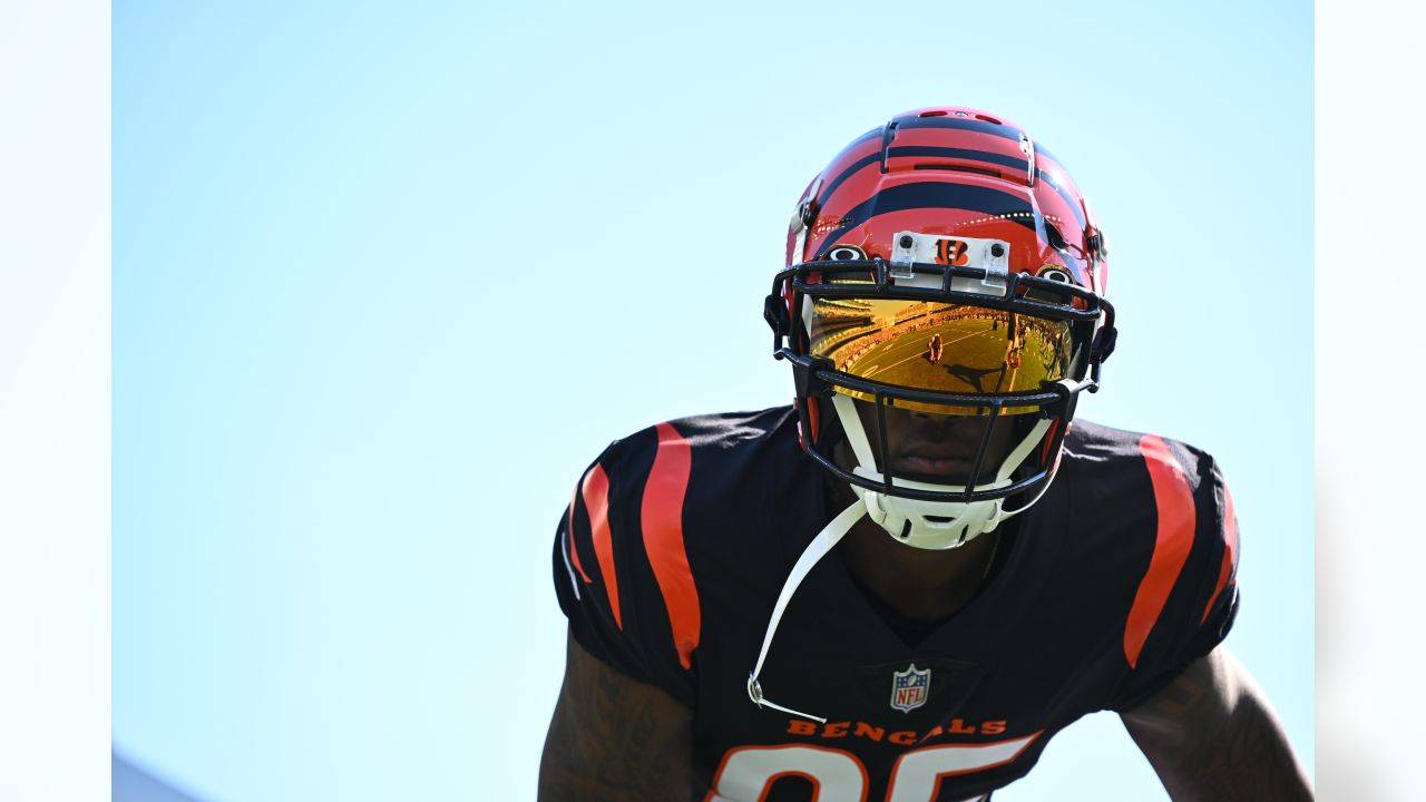 An Atlanta Falcons fans cheers in the first half of an NFL football game  against the Cincinnati Bengals in Cincinnati, Sunday, Oct. 23, 2022. (AP  Photo/Aaron Doster Stock Photo - Alamy