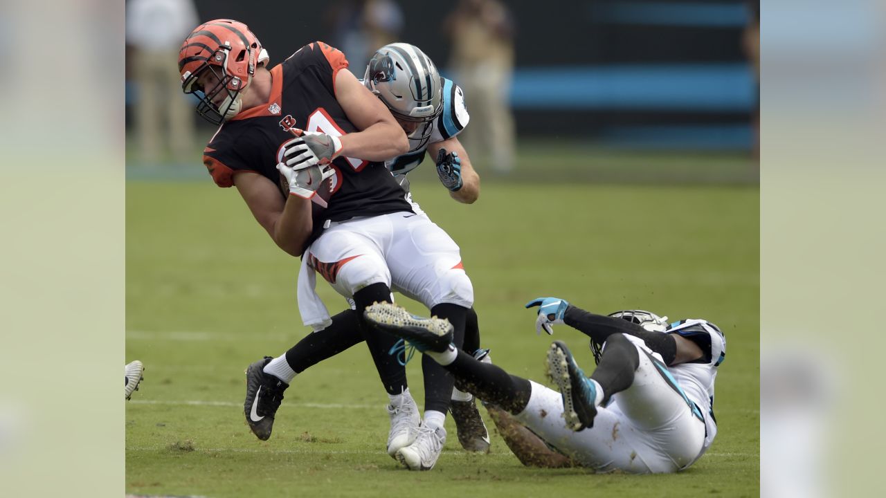 Panthers ground-and-pound their way to a 31-21 win over Bengals