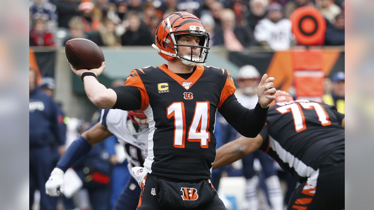 The Bengals fell to the New England Patriots 34-13 in Week 15.