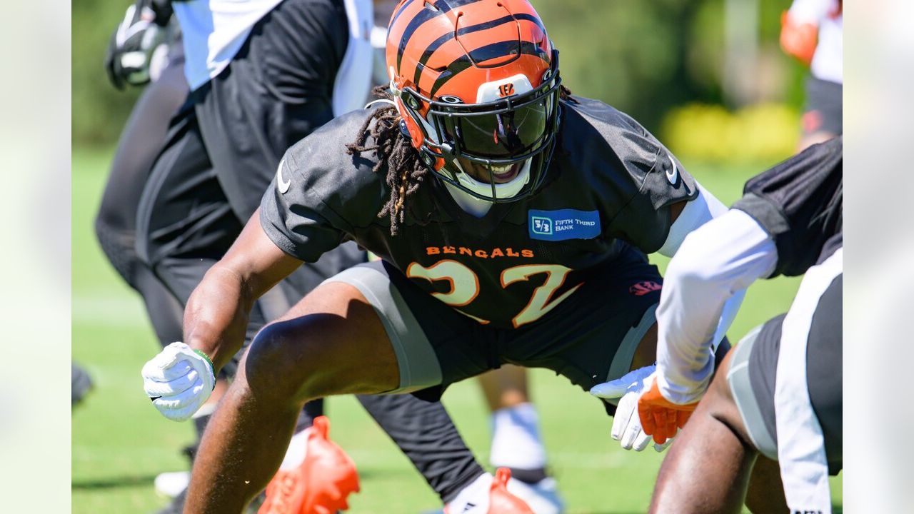 Bengals Roster: Realistic expectations for Mitchell Wilcox in 2023