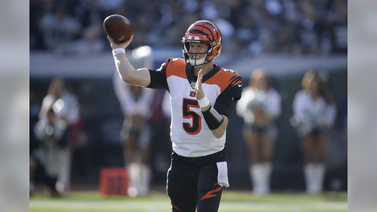 The Bengals fell to the Oakland Raiders 17-10 in Week 11.