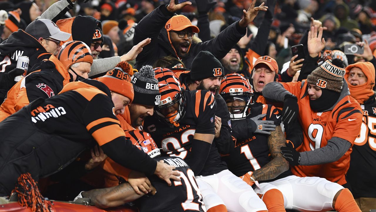 Fans celebrate Bengals win, react to fight with Rams during