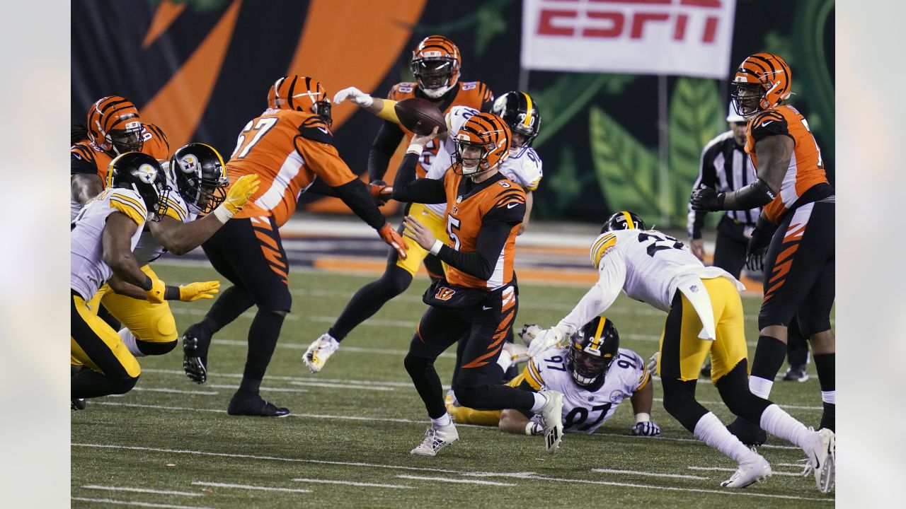 Steelers vs. Bengals - Monday Night Football - Dawgs By Nature