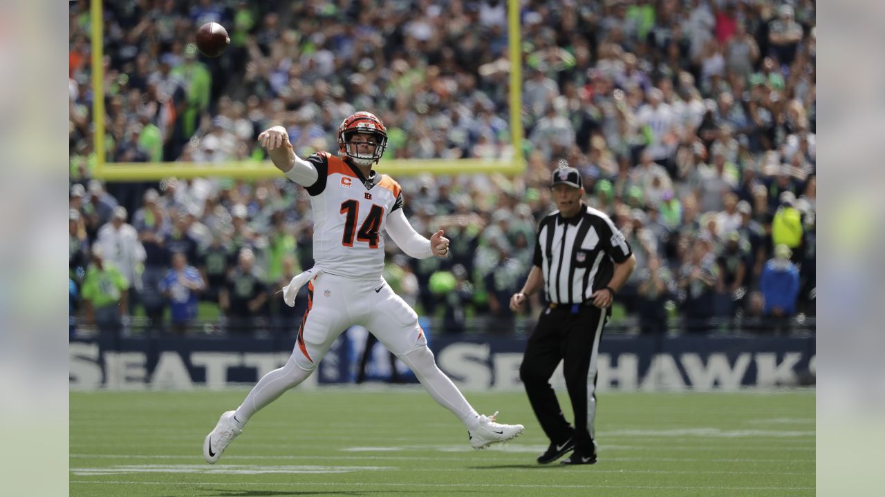 Andy Dalton, Rookie Quarterback, Quietly Leads Bengals - The New