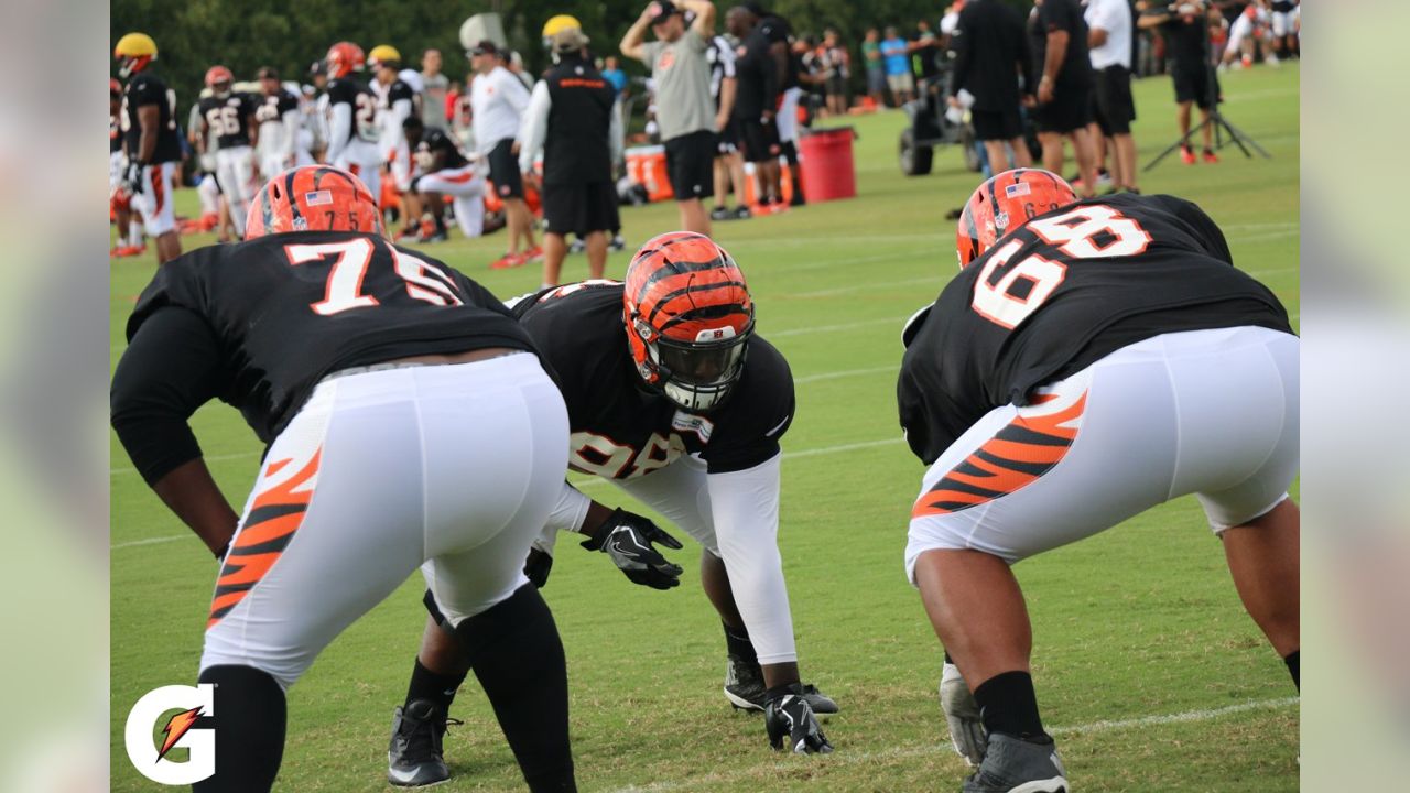 PHOTOS: Cincinnati Bengals training camp, 8/4