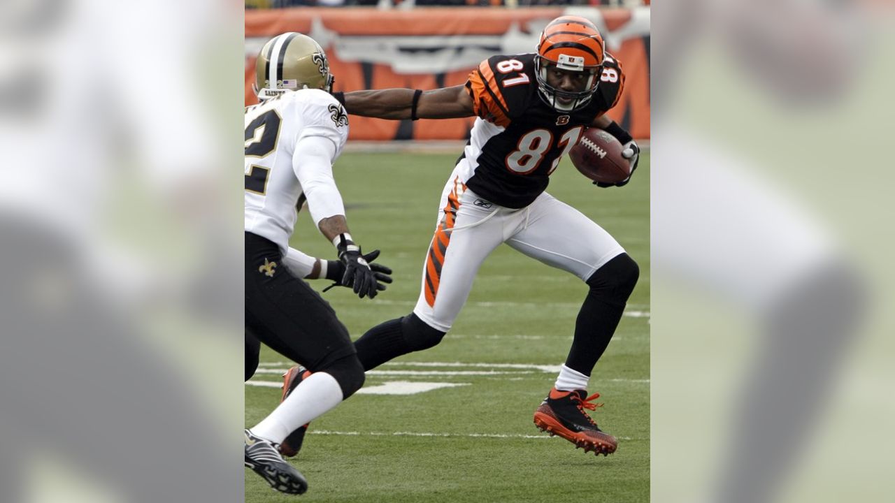 Photo: Bengals Receiver Terrell Owens In Preseason Game - CLV20100808304 