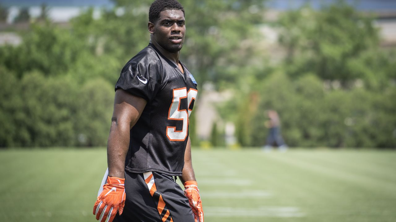 Bengals second-round pick Drew Sample impresses at rookie minicamp - Cincy  Jungle