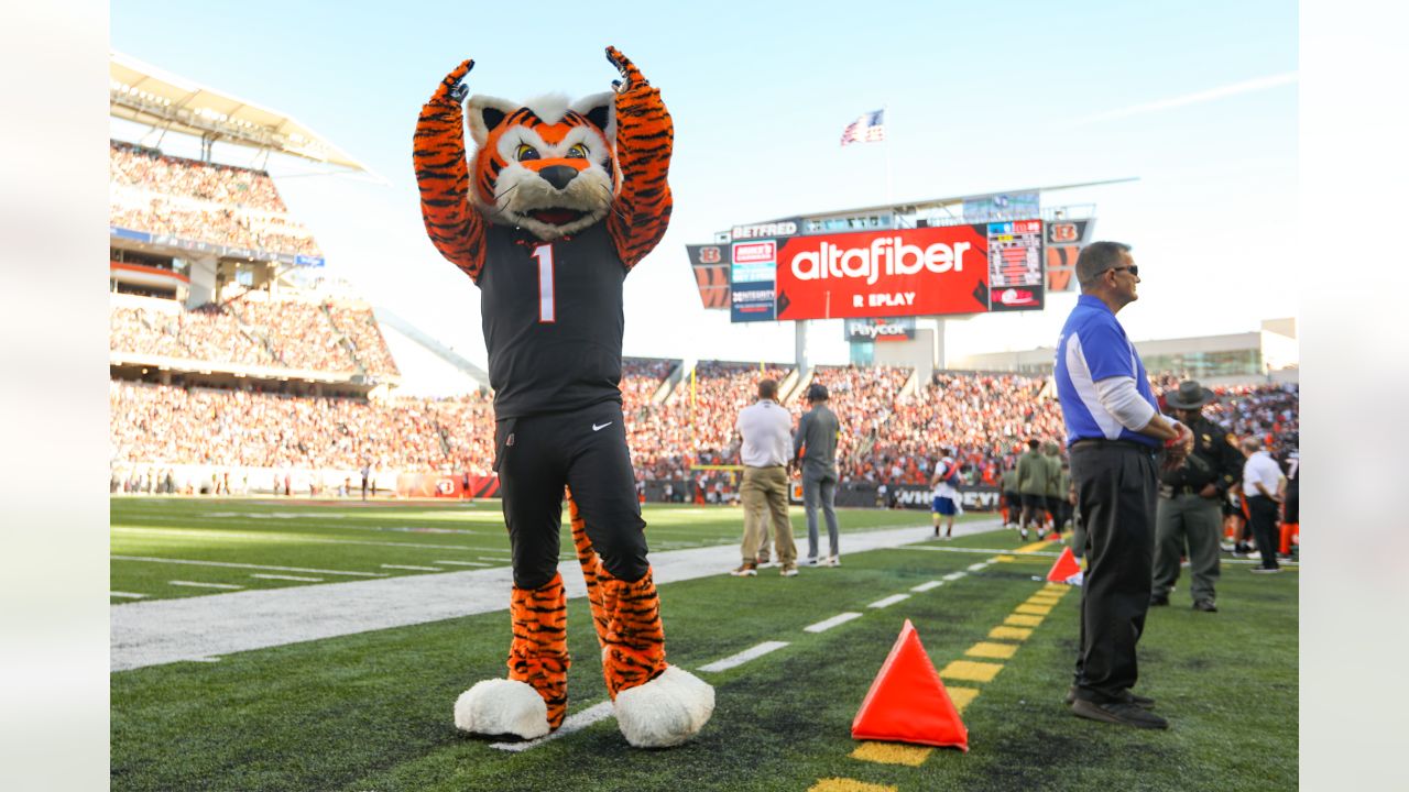 Cincinnati Bengals Prepare to Battle Carolina Panthers at Paycor