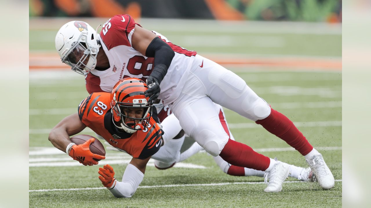 Cards Ruin Bengals Comeback