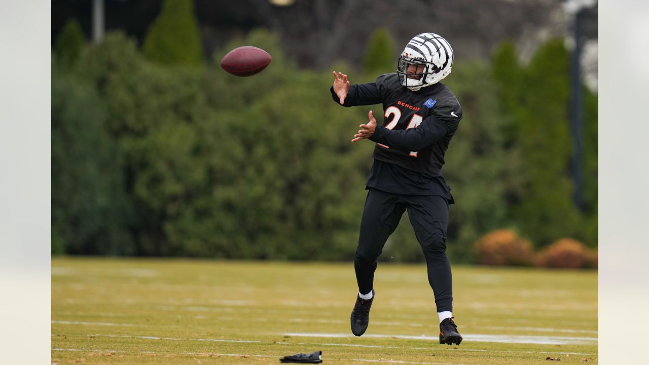 Bengals drop first look at repainted field for 'White Bengal