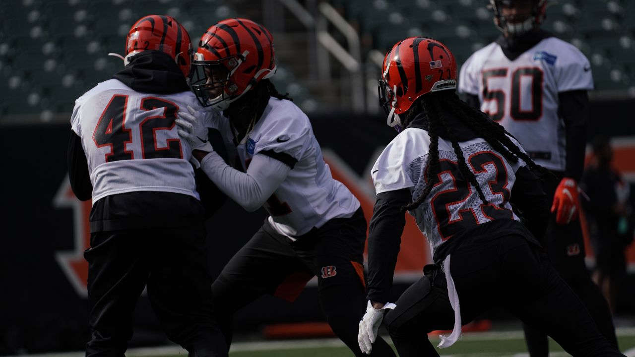 This Week in Bengals: Ryan Finley is providing exactly what Bengals asked  for - The Athletic