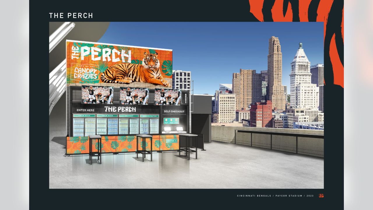 FIRST LOOK: Renderings show ideas for Paul Brown Stadium renovations