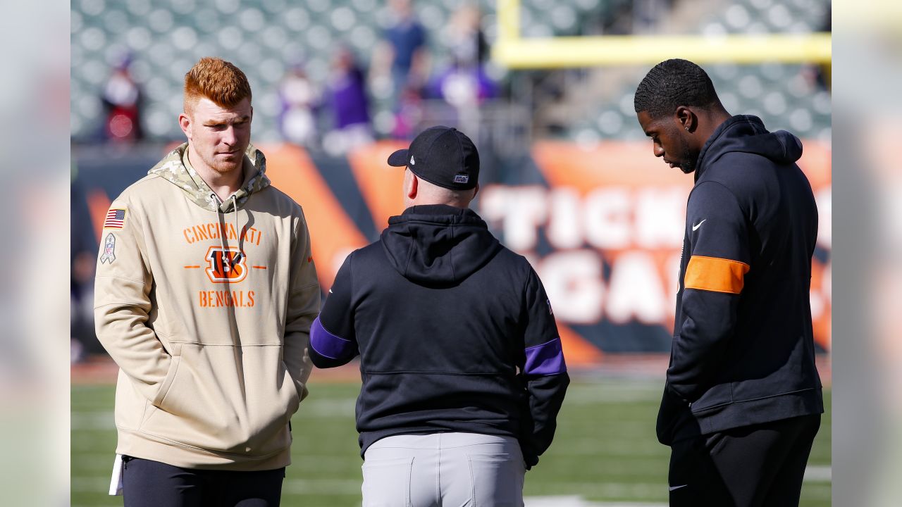 Ryan Finley shows promise in Bengals' first preseason game - Cincy Jungle