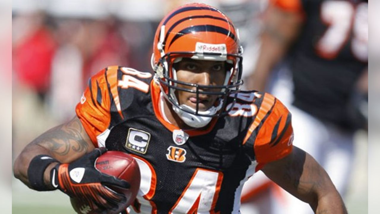 464 Cincinnati Bengals Tj Houshmandzadeh Photos & High Res Pictures - Getty  Images