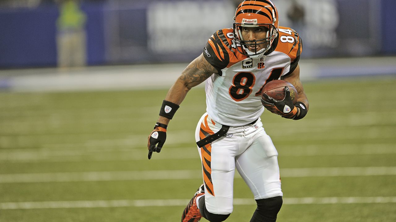 Photo Gallery  Bengals All-Time Leading Receivers