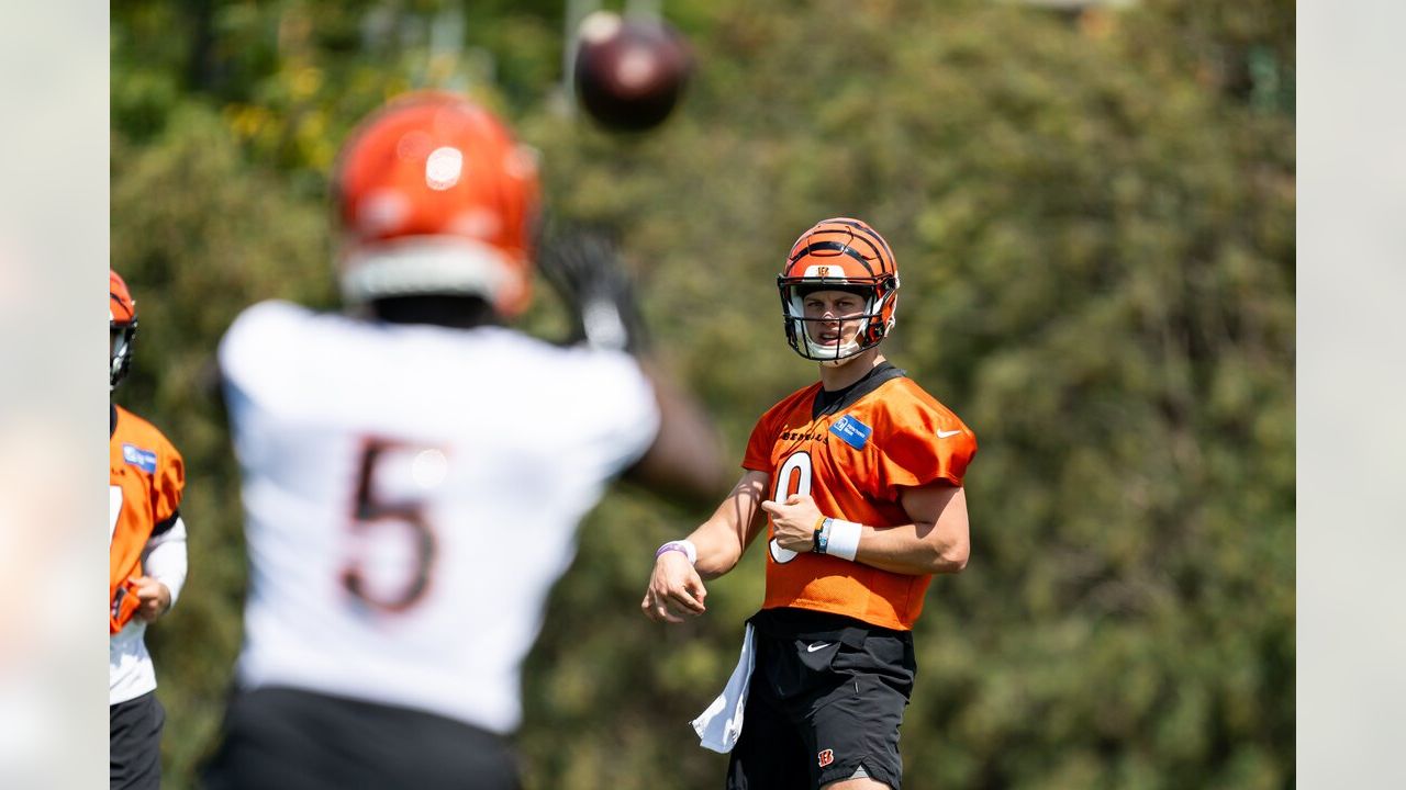 Quick Hits: Chido Opens Against A Brother; Bengals Go For