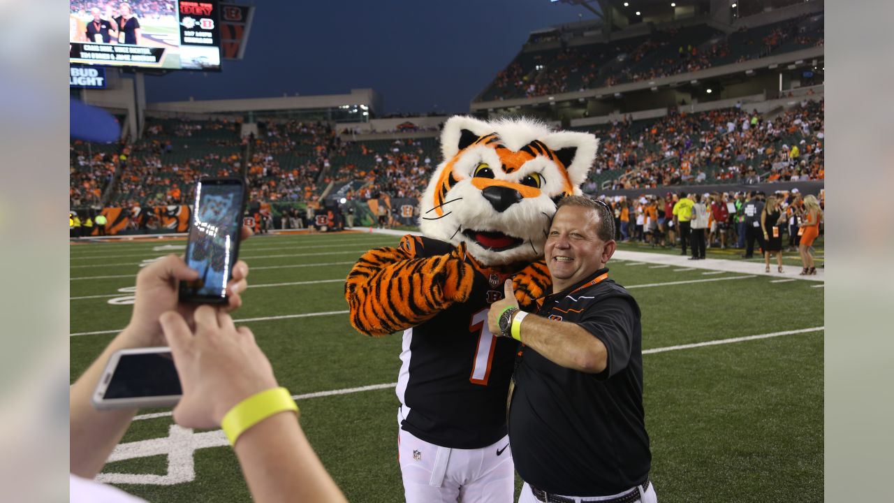 Cincinnati Bengals mascot Who-Dey takes the field before an NFL