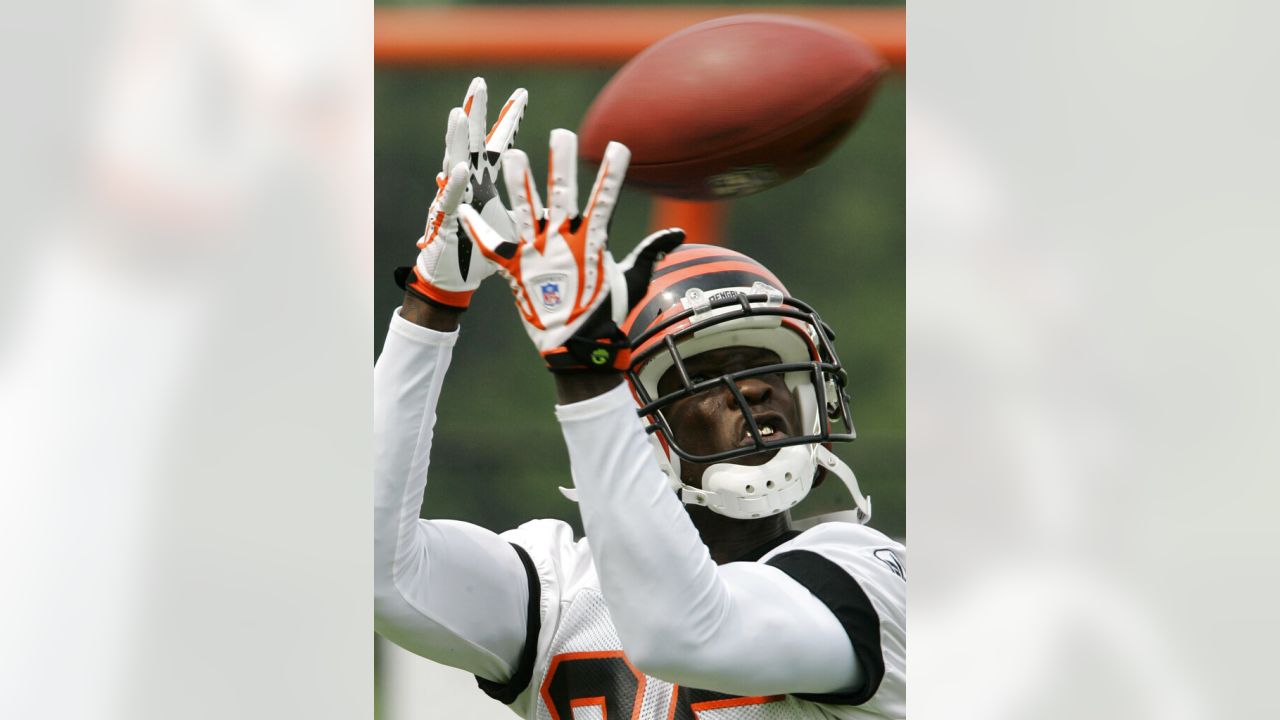 Chad Johnson Reacts to Bengals Ring of Honor Induction: 'It Means