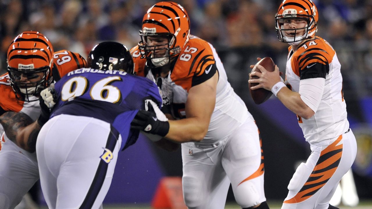 Cincinnati Bengals guard Clint Boling (65) in the first half during an NFL  football game the Arizona Cardinals, Sunday, Nov. 22, 2015, in Glendale,  Ariz. (AP Photo/Rick Scuteri Stock Photo - Alamy