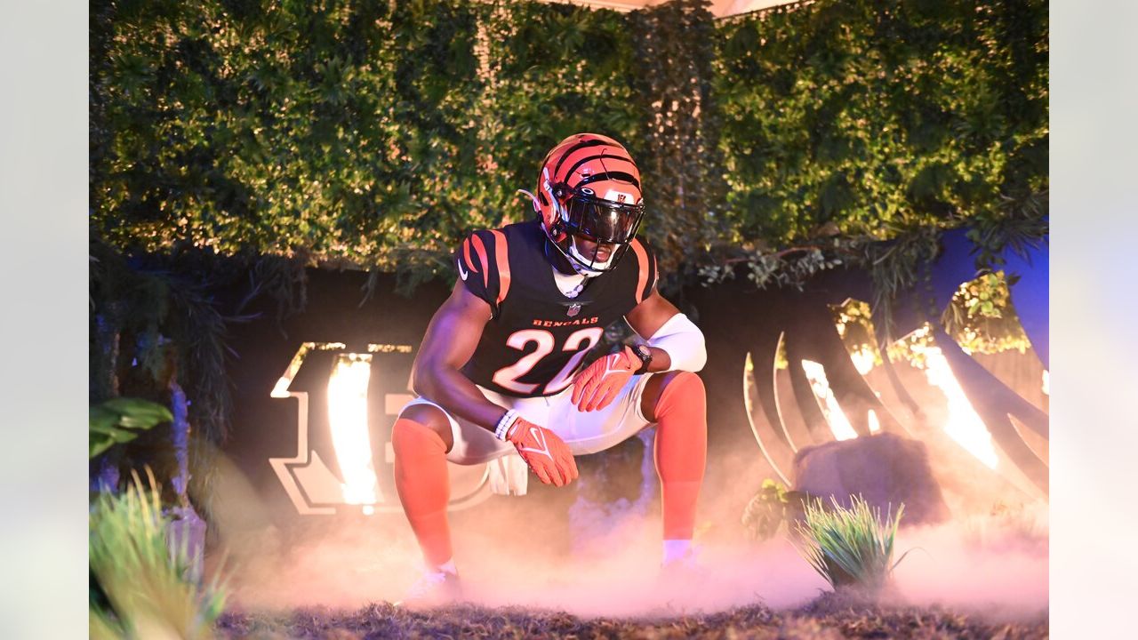 Clean Up Crew  Best of Bengals Media Day 2022