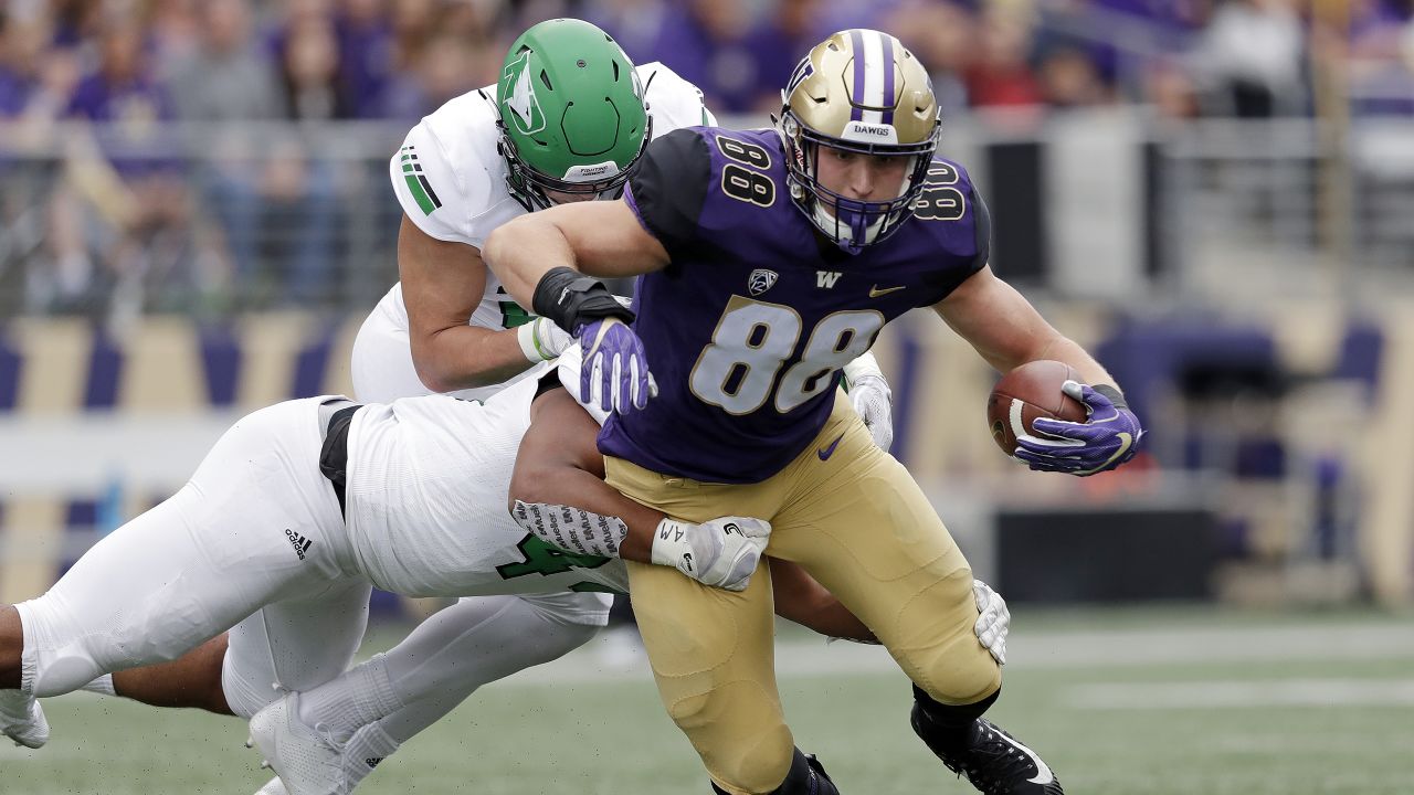 Washington TE Drew Sample Taken 52nd Overall by Cincinnati Bengals - UW  Dawg Pound