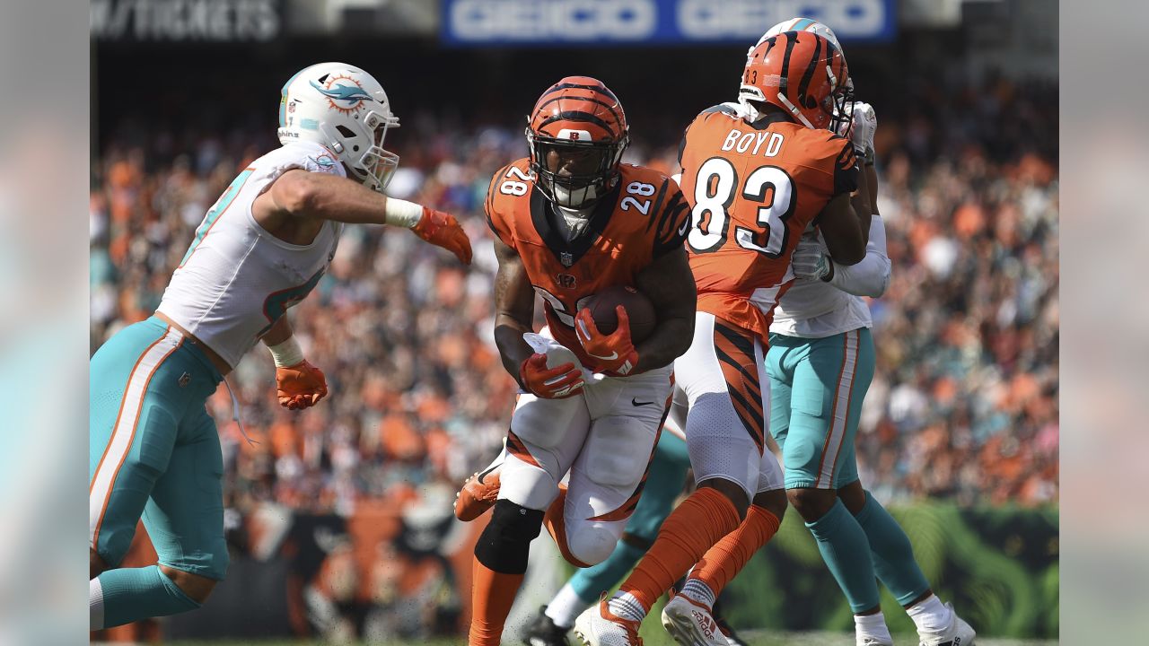 Dolphins Kick Bengals With Return