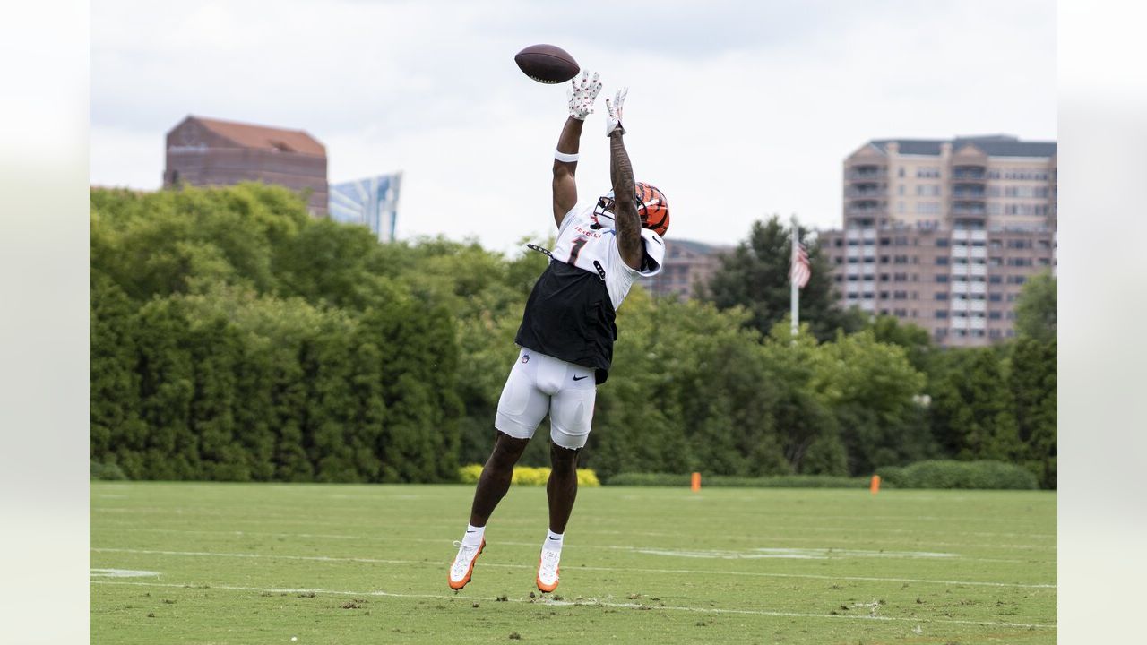 Cincinnati Bengals' Tyler Shelvin stands on the field during an NFL  football practice in Cincinnati, Tuesday, May 24, 2022. (AP Photo/Aaron  Doster Stock Photo - Alamy