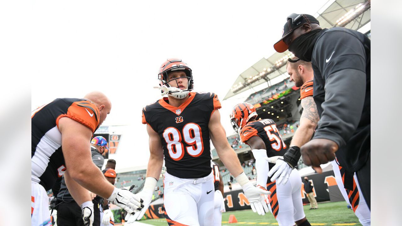 Bengals second-round pick Drew Sample impresses at rookie minicamp - Cincy  Jungle