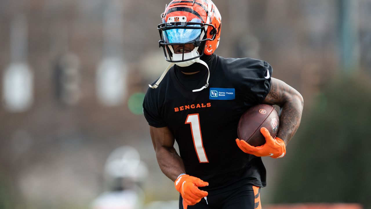 Bengals' Ja'Marr Chase fined for actions vs Steelers' Minkah Fitzpatrick -  Cincy Jungle