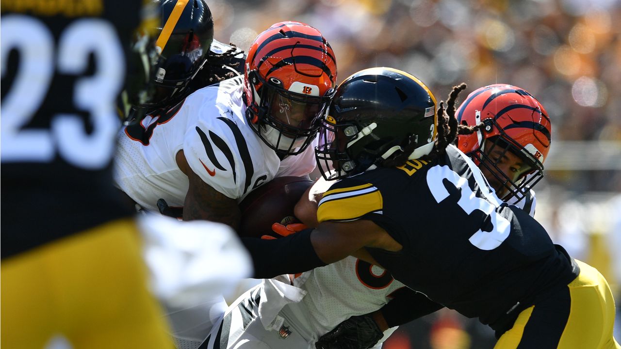 Bengals embarrass Steelers 24-10